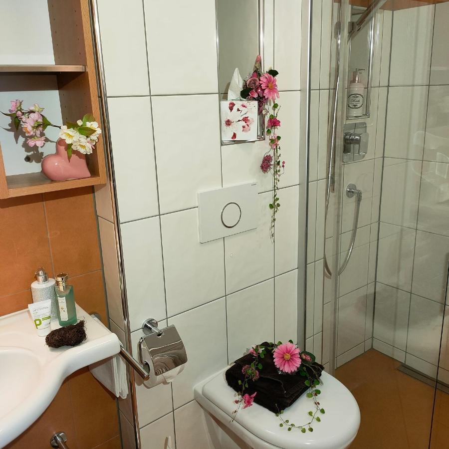 Appartement Apartmenthaus Sun Valley & Zodiac